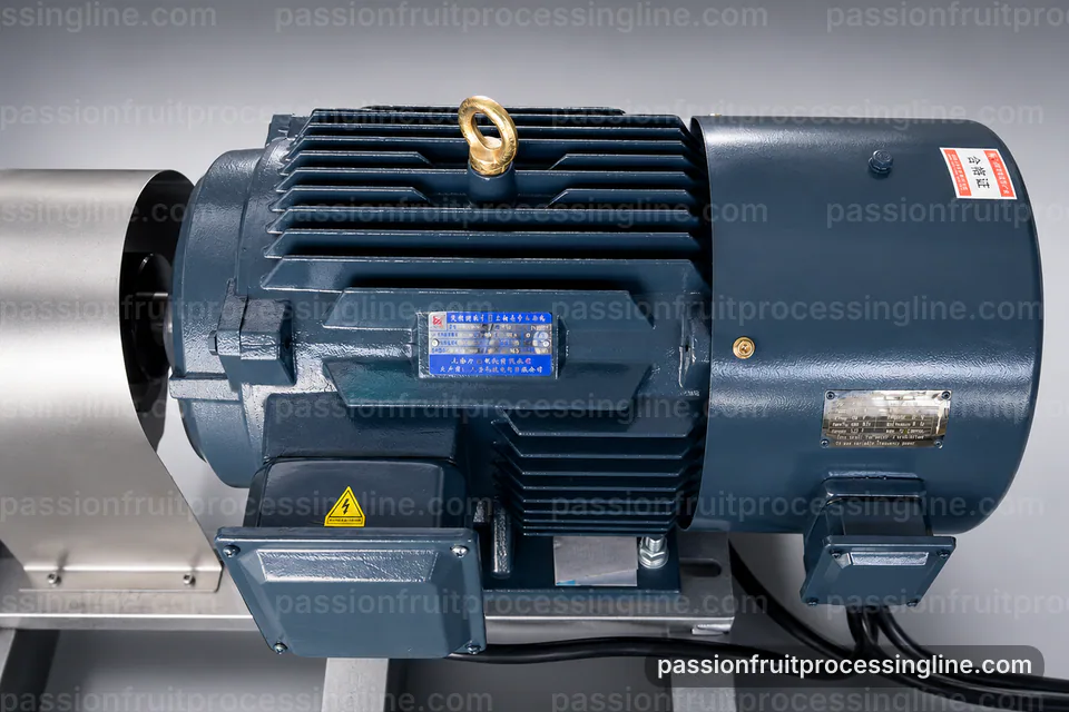 industrial passion fruit juice line, hygienic design: passion fruit seed separator operating stage